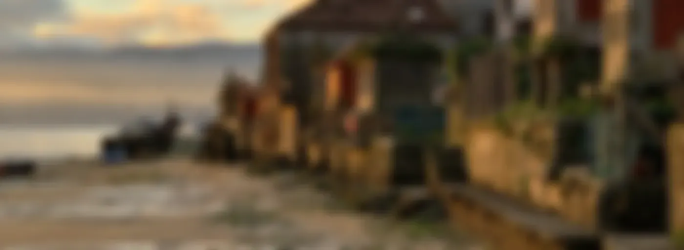 Os cantos do vagalume