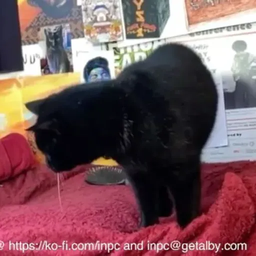 George v Fake George II