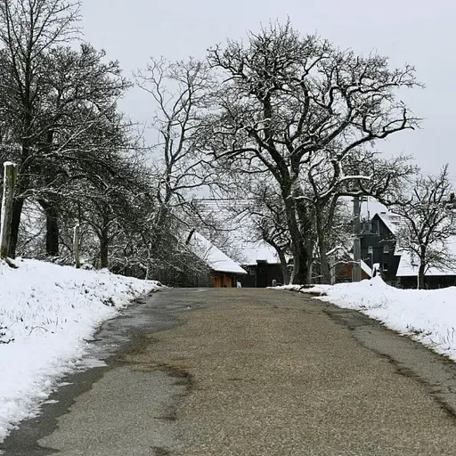 Dienas gaišais laiks: kā to pilnvērtīgi izmantot fiziskai un mentālai veselībai