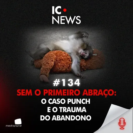 REJEITADO AO NASCER: O FILHOTE QUE ABRAÇOU UM URSO PARA SOBREVIVER - IC NEWS #134