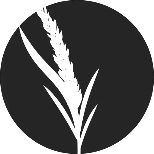 Testing Jesus (Part 2)