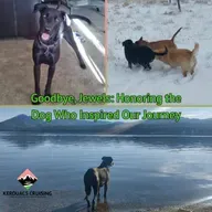 Goodbye, Jewels: Honoring the Dog Who Inspired Our Journey
