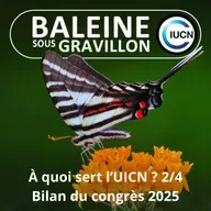 S07E44 C'est quoi l'UICN ? 2/4 : Ce qu'il faut retenir du congrès 2025 (Maud Lelièvre)
