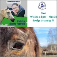 #202 Wiosna u koni – zdrowa dawka witaminy D