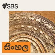 ශ්‍රී ලාංකීය දෙමළ ප්‍රජාව දීපවාලී සමරන ආකාරය ගැන SBS දෙමළ සේවයේ රේණුකා තුරෙයිසිංහම් අපිට කිව්ව දේ