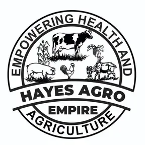 Hayes Radio