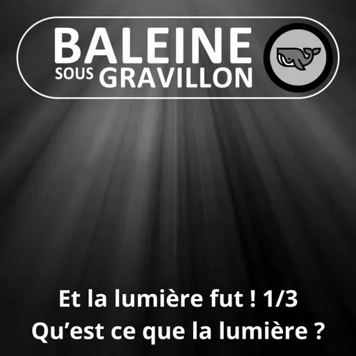 S07E40 Et la lumière fut ! 1/3... Mais au fait, qu'est-ce-que la lumière ? (Frédéric Archaux)