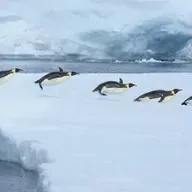 Maitiú Ó Cuimín, Lochán Beag.