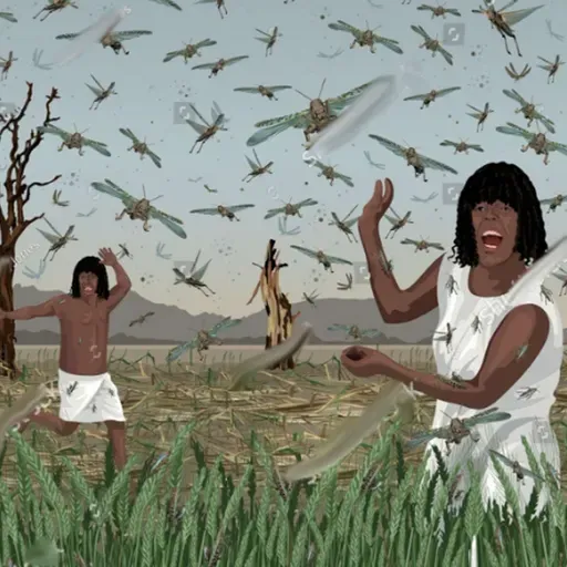 Five Minutes a Week Nov 11