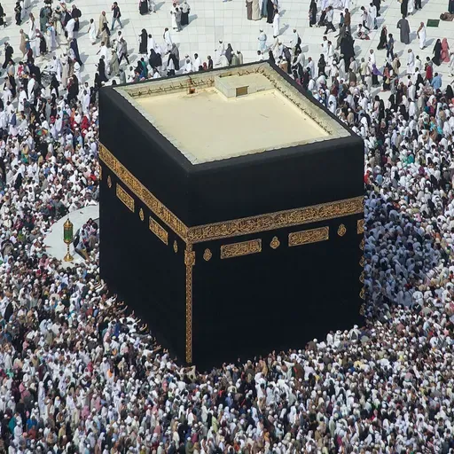 Le journal du 11 février 2026 - Hajj : un certificat d’aptitude délivré par un médecin est désormais requis