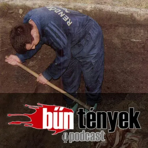 BŰNtények podcast@Tarnai Zsolt eltűnése és halála