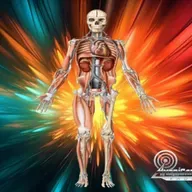 Fearfuly And Wonderfuly Made, The Miracle Human Body - Dr. Peter Glidden 