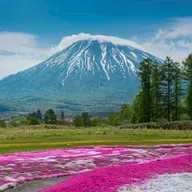 今年暑假的旅行计划：北海道和中亚 | This Summer’s Travel Plans: Hokkaido and Central Asia