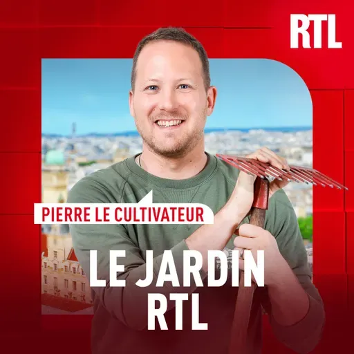 Comment bouturer, multiplier vos plantes pas à pas ?