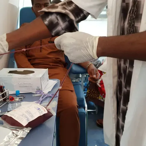 Le journal du 20 février 2025 - Birnin Konni : appel au don de sang pour renforcer la prise en charge des accouchements