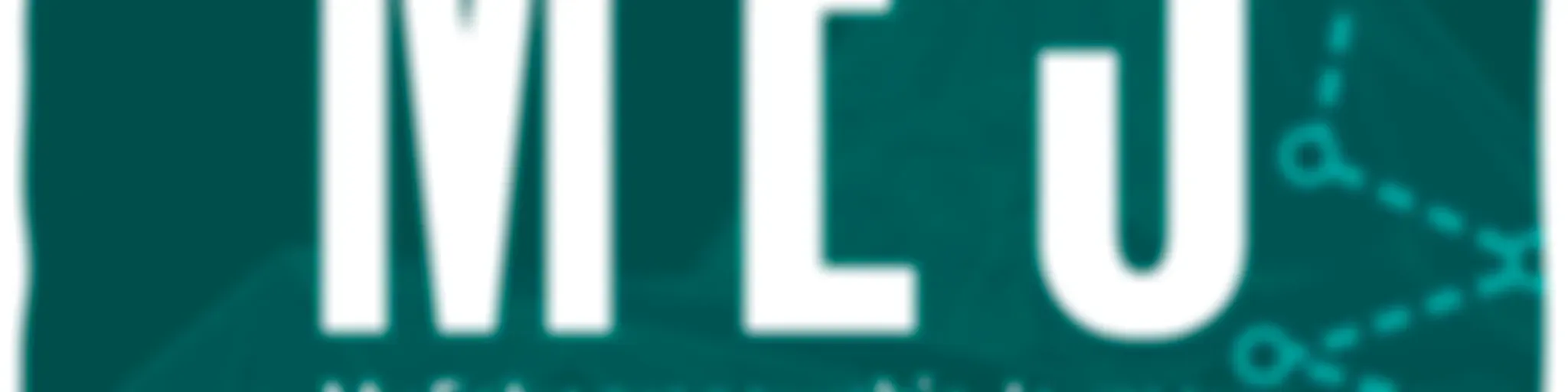 MEJ: My Entrepreneurship Journey