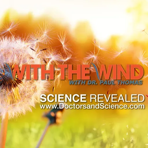 With The Wind with Dr. Paul – Show 192: Pediatric Perspectives – Motherhood Makeover with Carissa Stanton, M.​D.