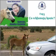 #193 Co reklamują konie?