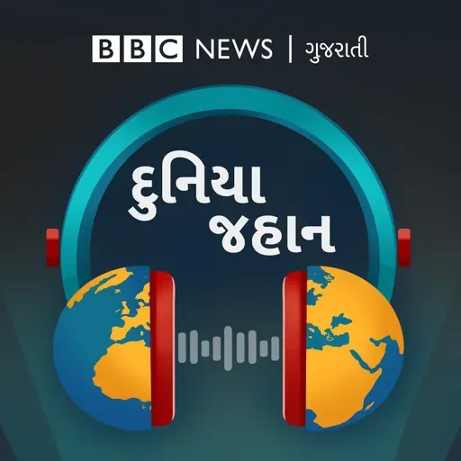 સમુદ્રમાં પથરાયેલા ઇન્ટરનેટ કેબલ નેટવર્ક પર શું દુનિયા આધાર રાખી શકે છે?