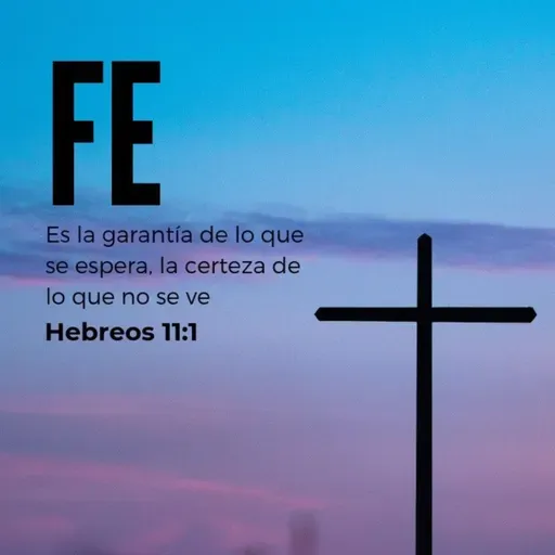 Fe