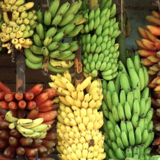 Bananageddon! Say Goodbye to *the* Banana, and Hello to the Weird and Wonderful World of Bananas, Plural