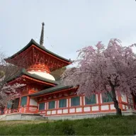 朝ラン6℃。筋肉痛が足りないダウンヒル走と昭和と令和とファンタジスタと心の目と鮮明な記憶。#1829 from Radiotalk