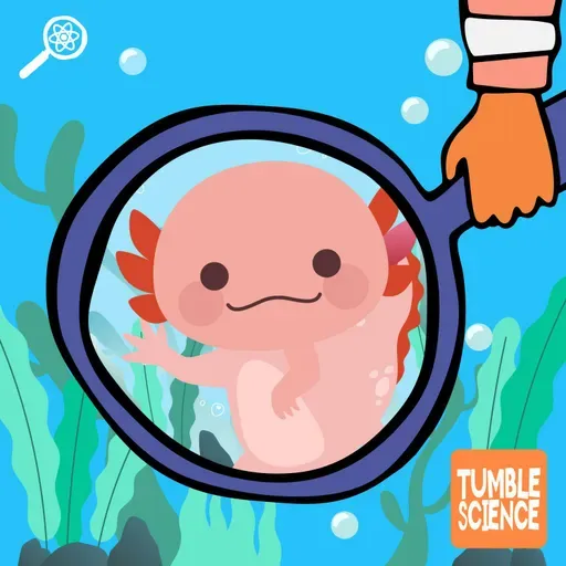 Can Axolotls Teach Us to Grow New Hands?