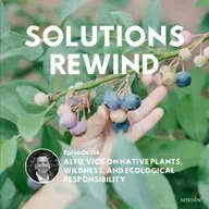 Solutions Rewind | Alfie Vick on Native Plants, Wildness, and Ecological Responsibility