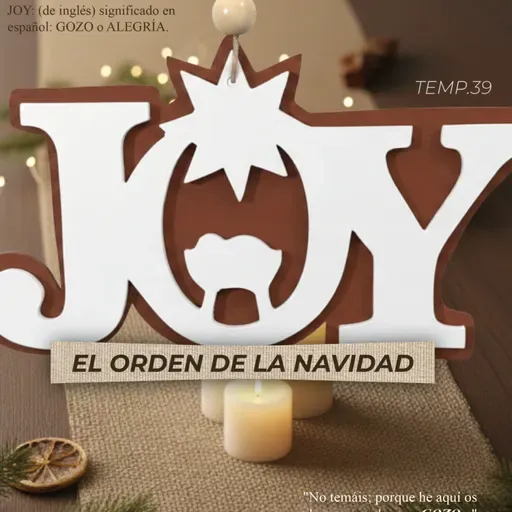 VIVE TU DISEÑO T39 E2 | "JOY" Otros