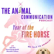 The Year of the Fire Horse