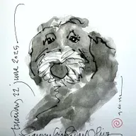 Interlude: Naci en la cumbre (Guatemalan folk tune)