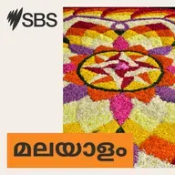 ANZ ബാങ്കിന് 240 മില്യൺ ഡോളർ പിഴ; വീഴ്ചയിൽ ക്ഷമ ചോദിക്കുവെന്ന് ബാങ്ക് മേധാവി