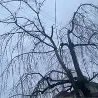 朝ラン7℃。二度寝にならない二度寝とミーム化とばけばけと好きな女性タレントベストテン⑤。#1701 from Radiotalk