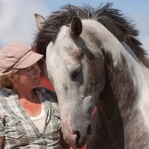 270 - Hestekvinner snakker om hest - VIII