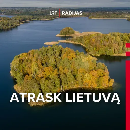 Šaukštai, grucė, gintarai, parašiutai ir Justinas Marcinkevičius