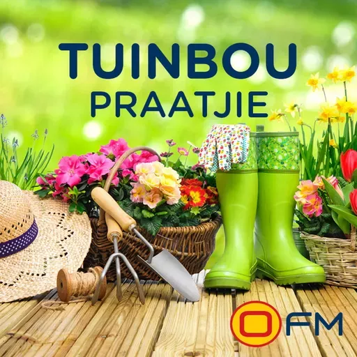 Onkruid en Gras: Wenke ná Reën