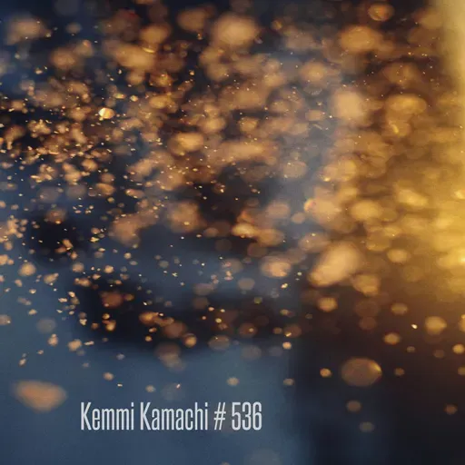 Kemmi Kamachi # 536