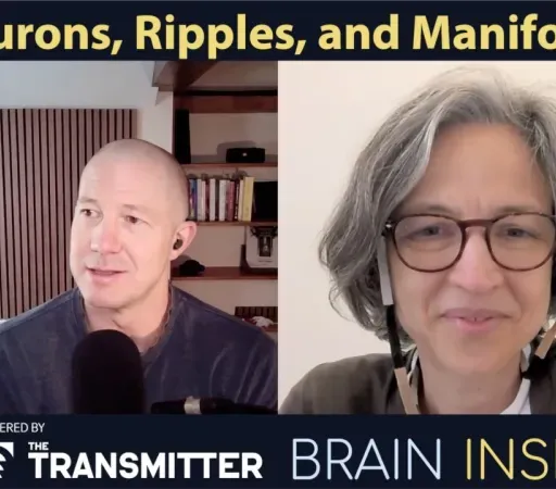 BI 236 Liset de la Prida: Neurons, Ripples, and Manifolds