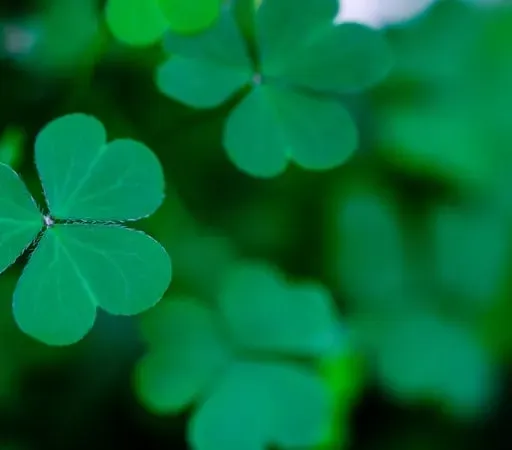 Diane Ní Fhlatharta, as Inis Mór Árainn