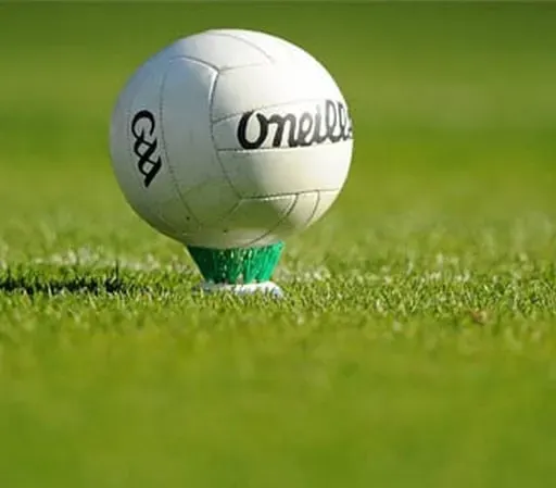Naoise Ó Gibne, Comhordaitheoir na gCluichí Gaelacha