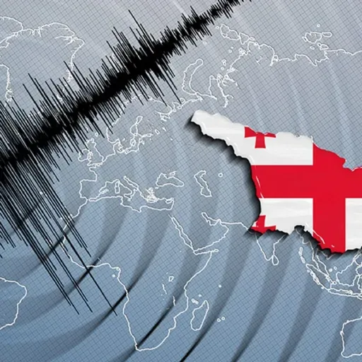 მიწისძვრა:როგორ ვიმოქმედოთ და დავიცვათ თავი