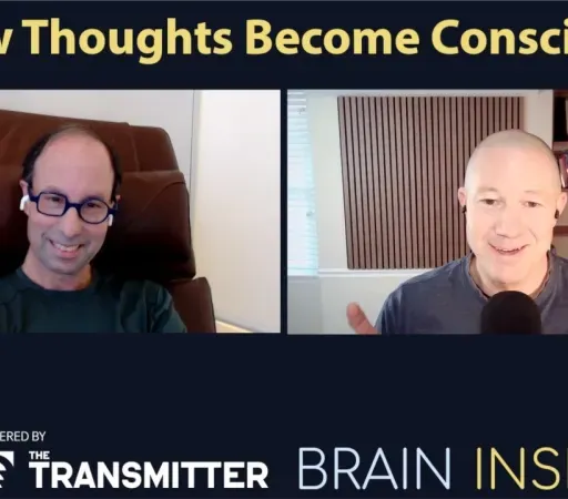 BI 230 Michael Shadlen: How Thoughts Become Conscious