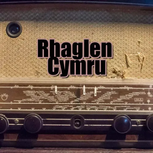 Rhaglen Cymru @ 100