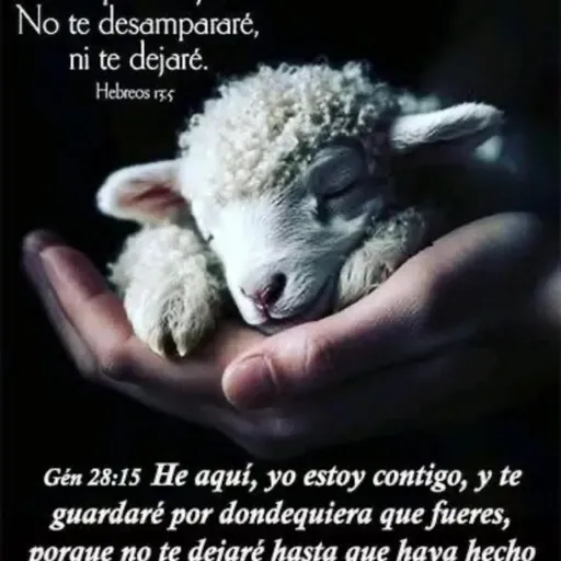 YO MISMO BUSCARÉ MIS OVEJAS (E1978).