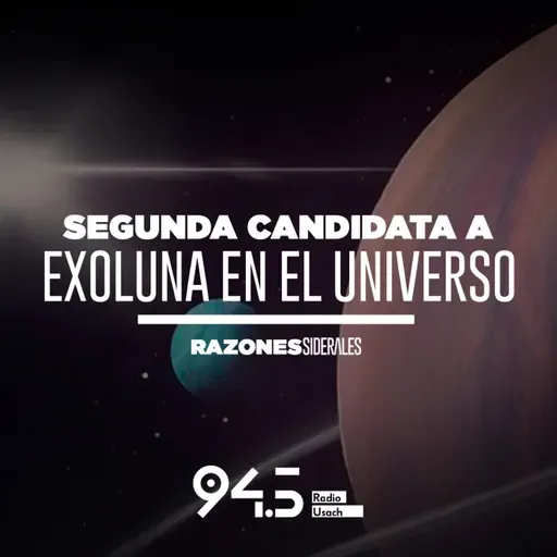 Identifican la segunda candidata a exoluna en el universo