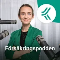 46. Tips till dig som ska köpa elbil
