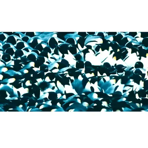 #122: A Coisa Mais Importante