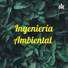 Ingeniería Ambiental 