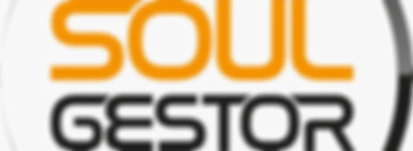 Soul Gestor - Empreendedorismo com Leandro Martins