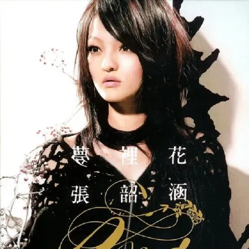 张韶涵 梦里花（2007）呈现张韶涵的成长于蜕变